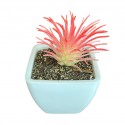 Artificial Mini Plant Tabletop Red W6xD6xH9 cm