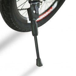 Champion ZS-20 Black/Red 20" MTB