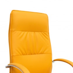 Stellar Primrose High Back Office Chair Rust