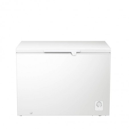 Hisense H390CF Freezer