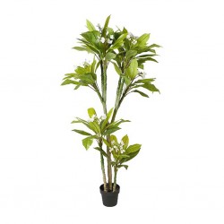 Faux plant 180CM Plumeria Tree IN 8"POT
