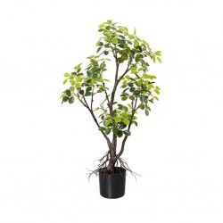 Faux Plant 100 cm Magnolia In 7" Pot - Y8199-5-1PS