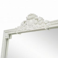 European Style Fitting Floor Mirror 120x80 cm