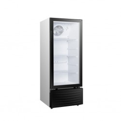 Hisense FL-26FCA Refrigerator