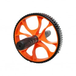 Exercise Wheel 17cm LS3160B