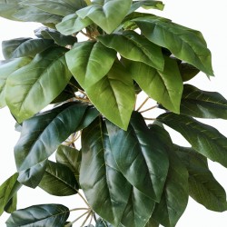Faux plant 65cm Schefflera Plant in 5"pot