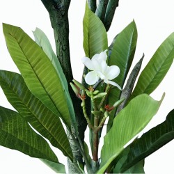 Faux Plant 180 cm Plumeria Tree In 8" Pot