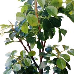 Faux plant 100 cm Magnolia In 7"POT