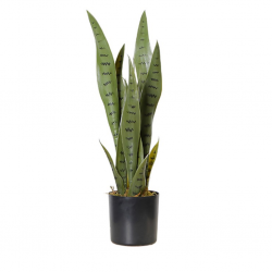 Faux plant 55CM Snake Plant In 5"POT