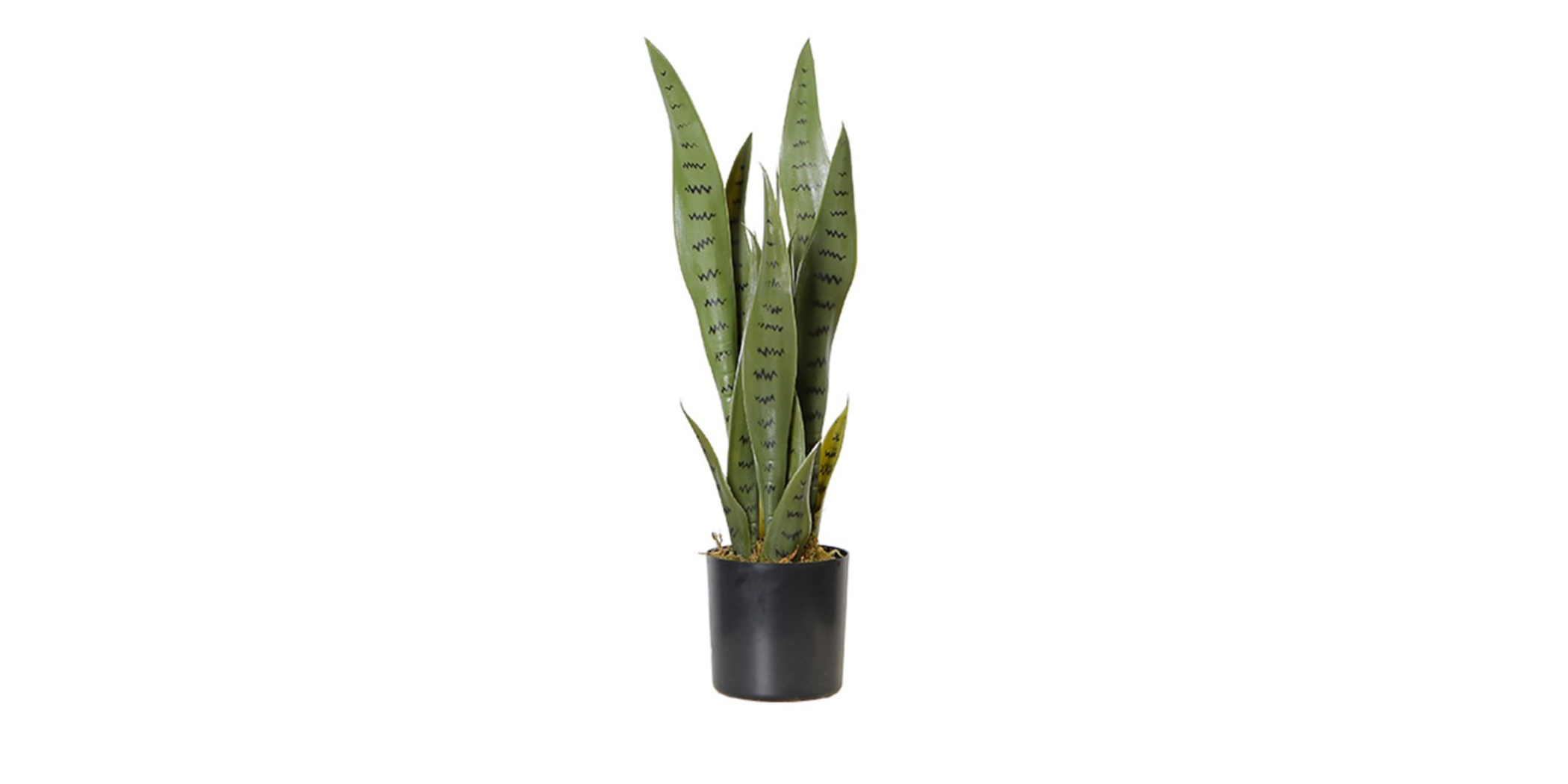 Faux plant 55CM Snake Plant In 5"POT