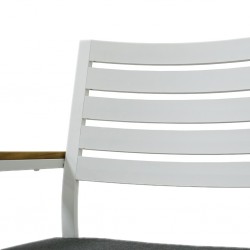 Clay Dining Chair With Cushion Matte White