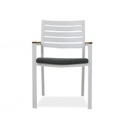 Clay Dining Chair With Cushion Matte White