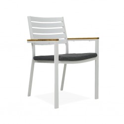 Clay Dining Chair With Cushion Matte White