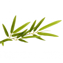 Bamboo Tree Artificial 160cm P.Pot 5"