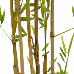 Bamboo Tree Artificial 160cm P.Pot 5"