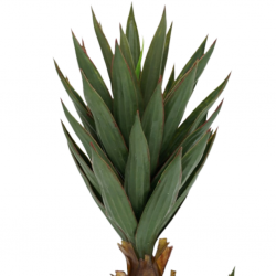 Aloe Plant Artificial 90cm P.Pot 7"