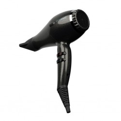 Revamp DR-3950-EU Progloss 3950 AC Featherlite Ultra X Shine Hair Dryer 2YW