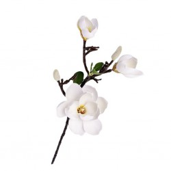 Flower magnolia White Height 70cm