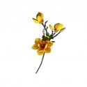 Flower Magnolia Yellow Height 70cm