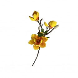 Flower Magnolia Yellow Height 70cm