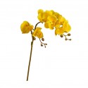 Flower Moth Orchids Yellow Height 70cm