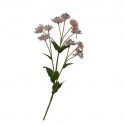 Flower Dandelion Pink Height 62cm