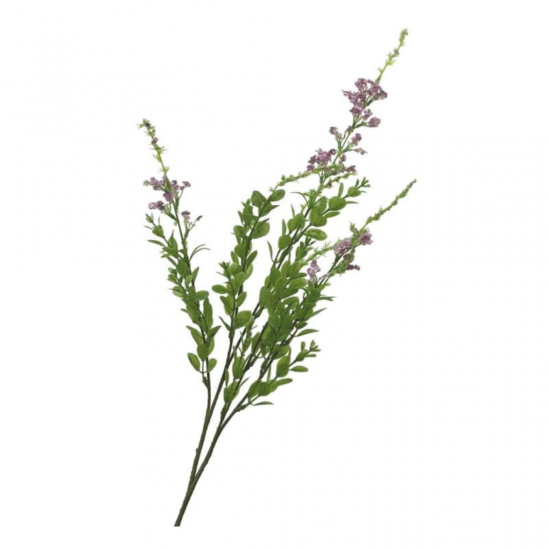 Flower Sage Purple Height 85cm