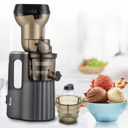 Rico SJ2508 Slow Juicer 5YW on Motor