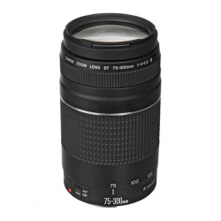 Canon EOS 4000D DC 18-55 Lens Kit