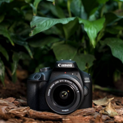 Canon EOS 4000D DC 18-55 Lens Kit