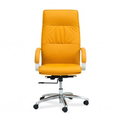 Stellar Primrose High Back Office Chair Rust