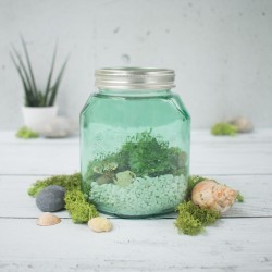 Leifheit LE028BJG Preserve 1L Jungle Green Jar "O"