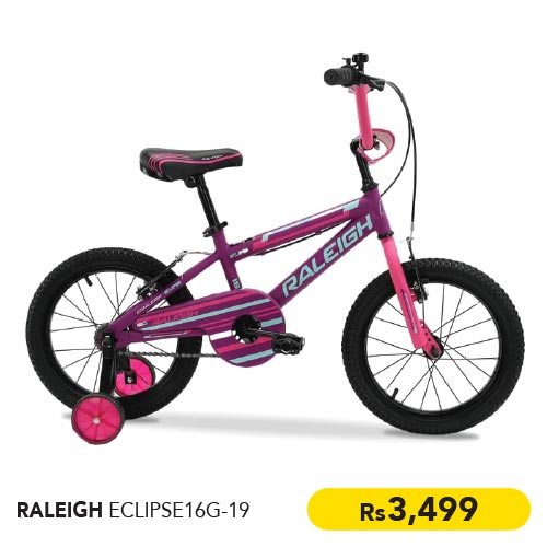 RALEIGH ENDURO20