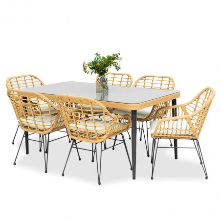 Astoria Table and 6 chairs