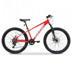 Raleigh Flight26-21 26" MTB