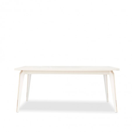 Flamboyant Dining Table & Tetraks Legs