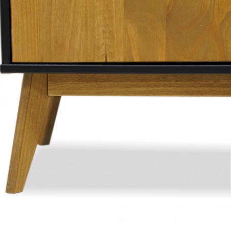 Lavis TV Stand With 2 Doors