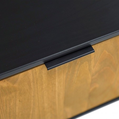 Lavis TV Stand With 2 Doors