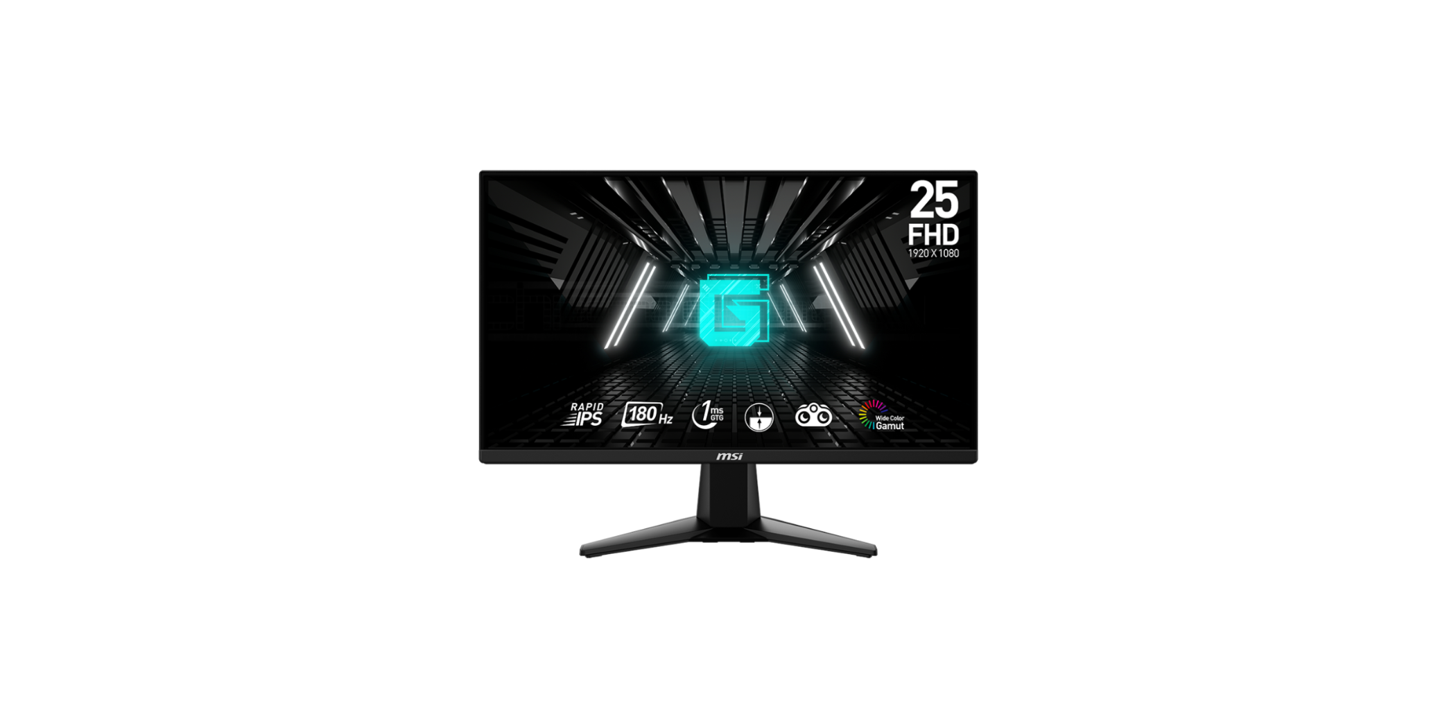 MSI G255F Gaming Monitor 24.5" FHD 180Hz