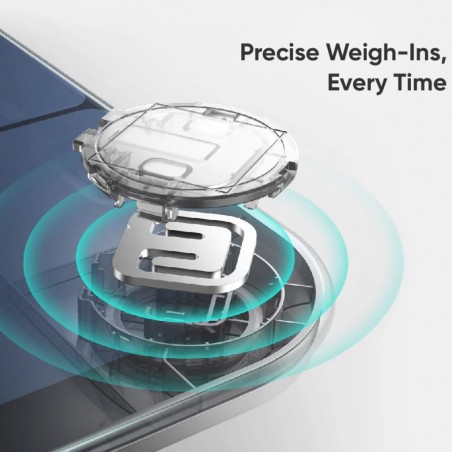 Eufy P3 B2B  Black Iteration 1 18M Smart Scale T9150K11 "O"