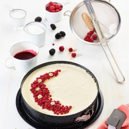 Pradel 26cm Springform Mold Premium Stone Look P0002159/52301 "O"