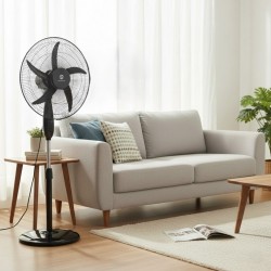 Mammouth FS50-12P 20" Stand Fan