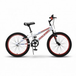 Raleigh Enduro b20-17 20'' Enduro Boys Mtb
