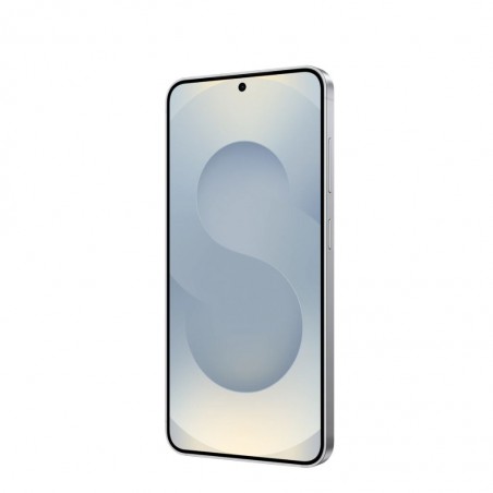 Samsung Galaxy S25 Silver