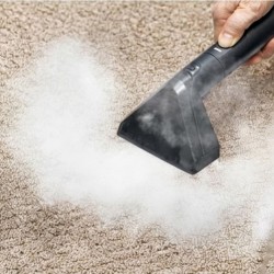 Cornell CFCE600S Steam Scrub Spot Cleaner