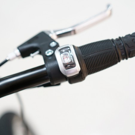 Raleigh Mirage26-17 26'' 21 Speed MTB