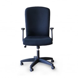 Iris High Back Chair With Armrest TK22