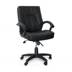 Veracruz Low Back Office Chair Black Color HF366-1