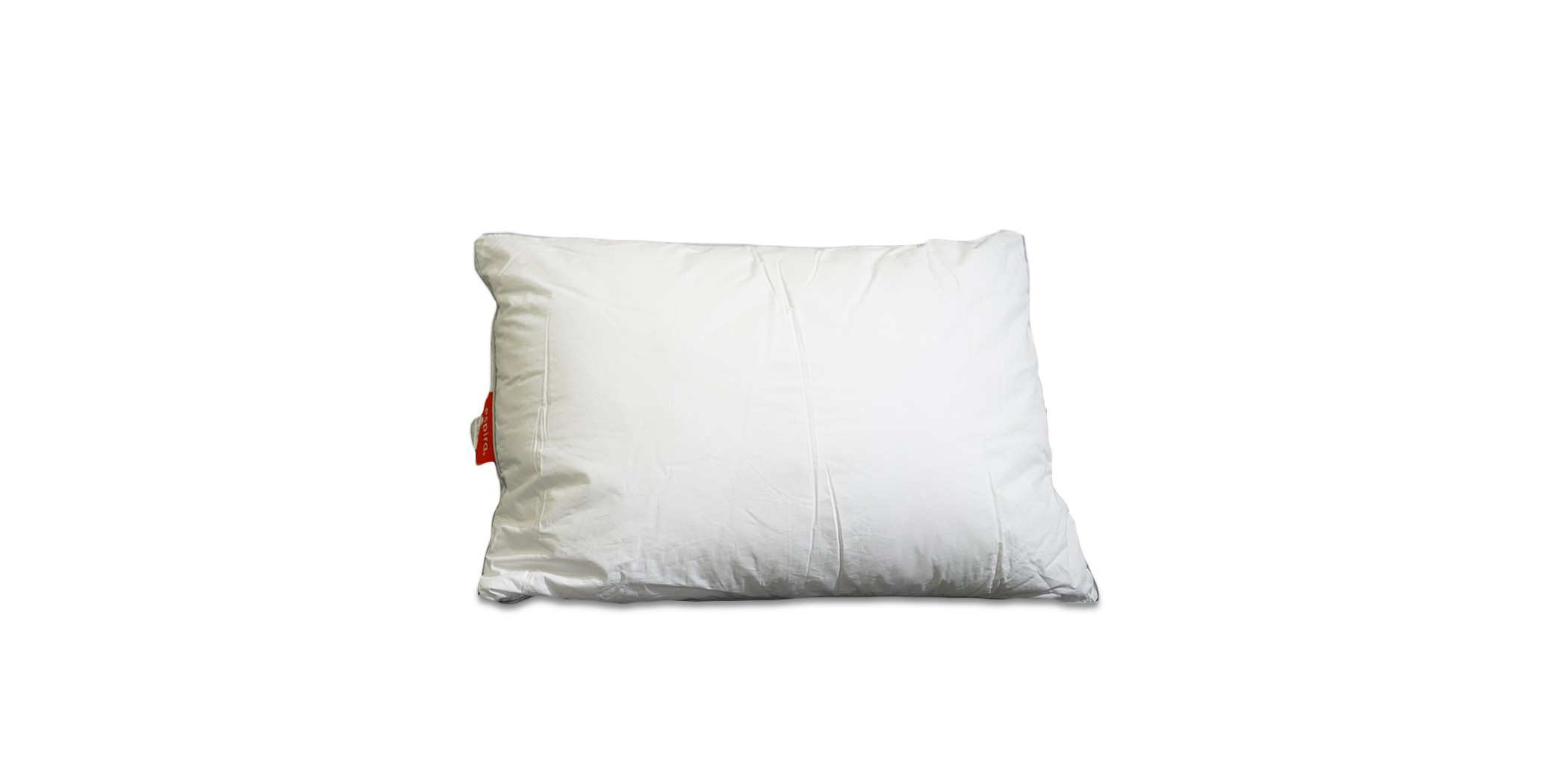 All Season Pillow 50x70 100% Cotton