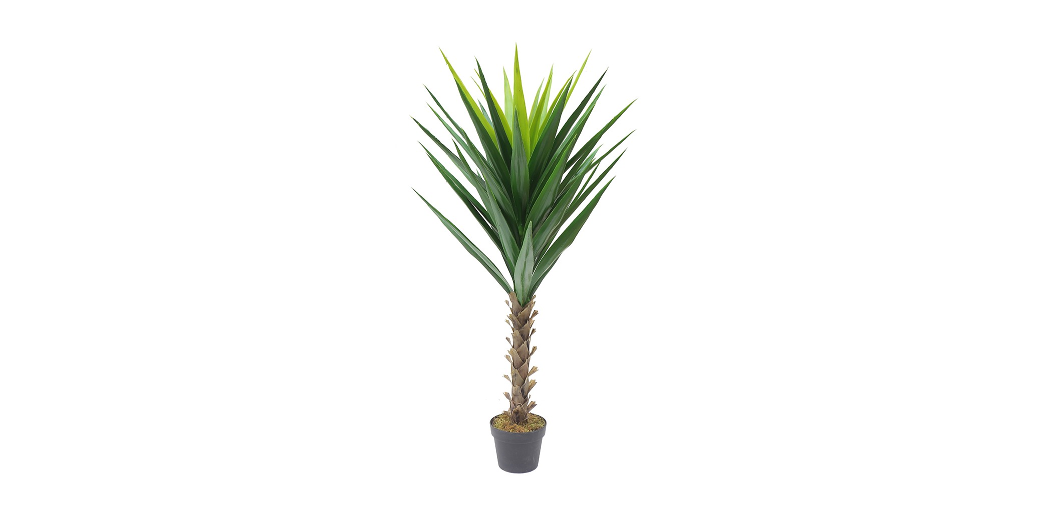 Gladiolus Tree Artificial 130cm P.Pot 7"